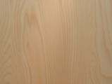 Birch Plywood